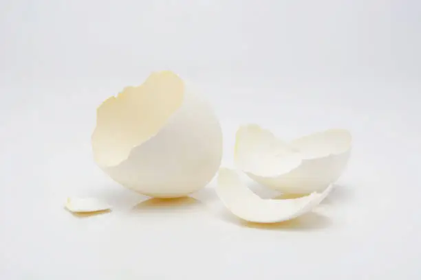 The broken white egg on the white background