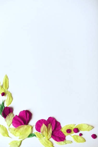 istock Floral frame of tissue paper on white background 993569610
