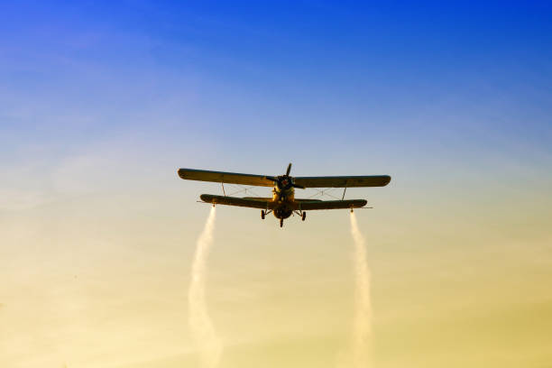 istock Biplane flying in the sunset 993571288