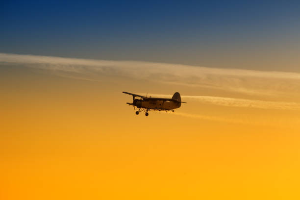 istock Airplane flying in vibrant sunset 993577664