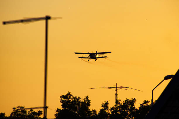 istock Biplane flying over roofs and trees in vibrant sunset 993578622