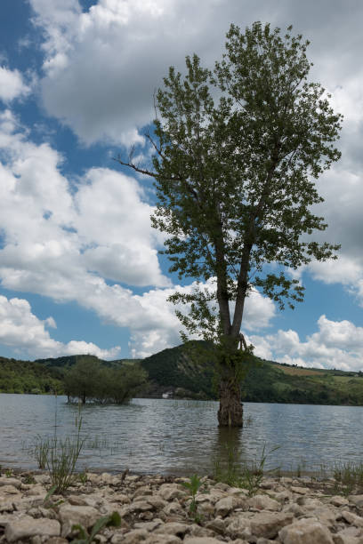 istock Lake of Casoli 993585408