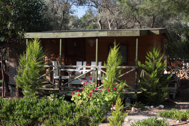 istock Bungalow house in the forest 993601060