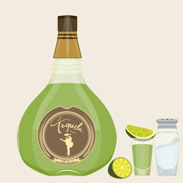 데 킬 라 세트 벡터 평면 스타일 디자인 일러스트 레이 션 - shot glass mexican culture lime alcohol stock illustrations
