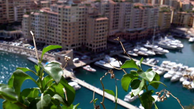Luxury yachts in the bay of Monaco