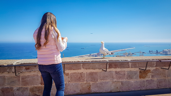 Beautiful sea bird standing on Monjuic castle wall, expecting foond from a women.