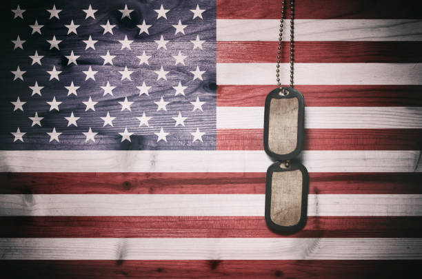 281 Veterans Day Dog Tags Stock Photos, Pictures & Royalty-Free Images -  iStock