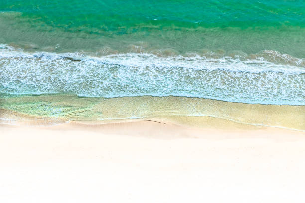 istock Aerial view of white sand beach and ocean with soft waves 993616358