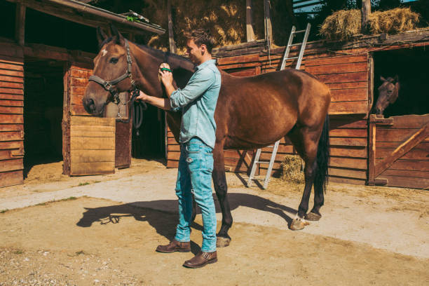 istock Young man stroking a brown horse 993618354