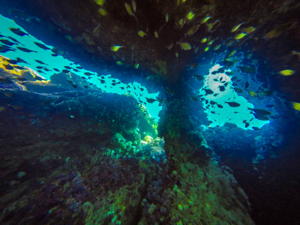 istock Thailand underwater cave system - The Chimney, Ko Haa 993618660