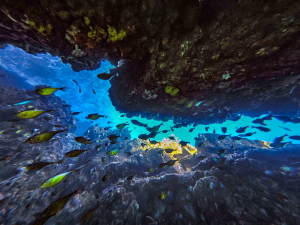 istock Thailand underwater cave system - The Chimney, Ko Haa 993618826