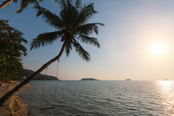 istock Beautiful sunset at a beach in tropics. 993636118