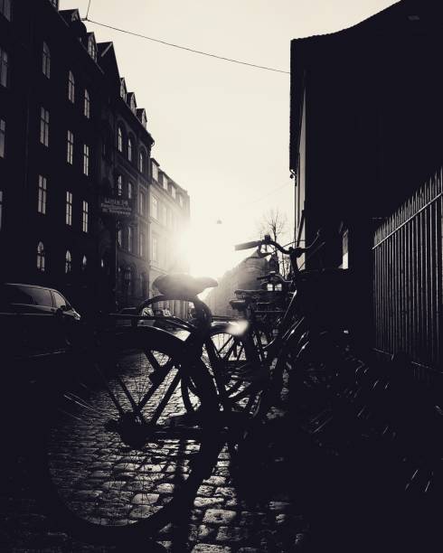 istock Amalienborg Polota Copenhagen 993647296
