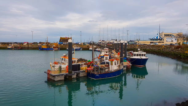 istock Small pier with fisher boats in Howth 993657816