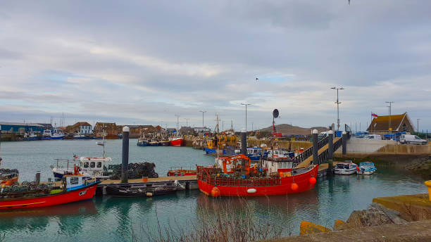 istock Small pier with fisher boats in Howth 993658076