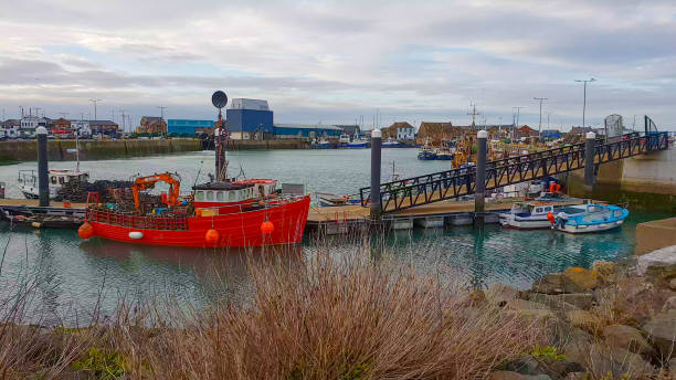 istock Small pier with fisher boats in Howth 993658170