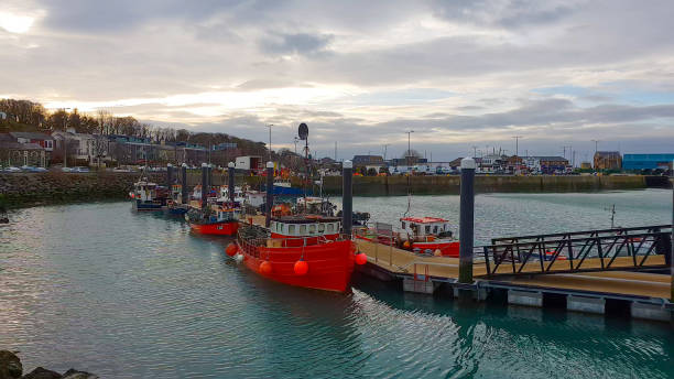 istock The Howth Peninsula at the Irish Sea 993658264