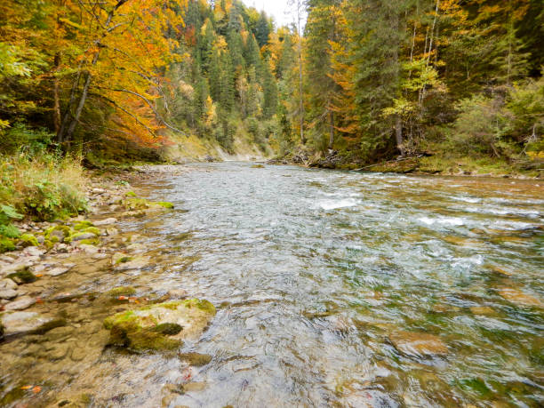 istock river Ammer in Bavaria with cascade 993658318