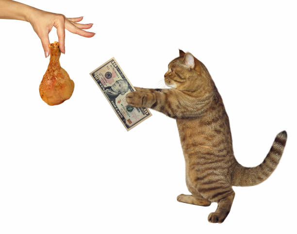Cat buys a roasted chicken leg The cat buys a roasted chicken leg. White background. money cat stock pictures, royalty-free photos & images