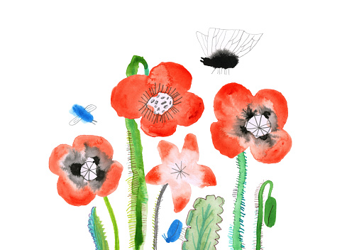 Hand painted poppies and insects