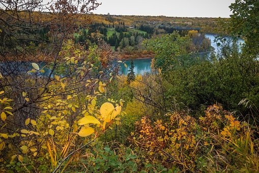 Río Saskatchewan del norte photo