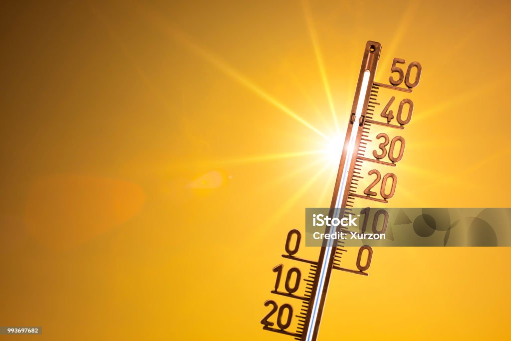 Piscina de verano - Foto de stock de Calor libre de derechos