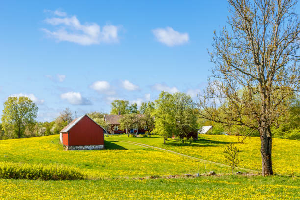 istock Farmhouse in rural landscape in spring 993710838