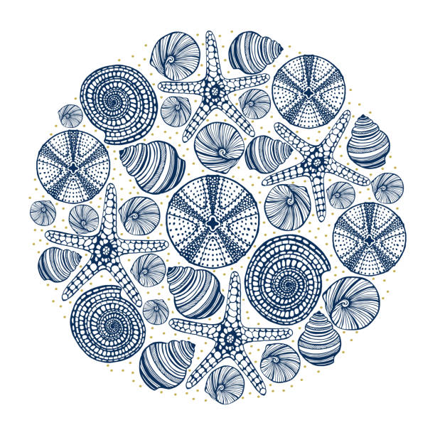 Hand-Drawn Composition with Urchins Shells and Starfishes Round Composition with Urchins Shells and Starfishes. Sea Elements in Hand Drawn Style for Surface Design Fliers Prints Cards. Vector Illustration sea urchin stock illustrations
