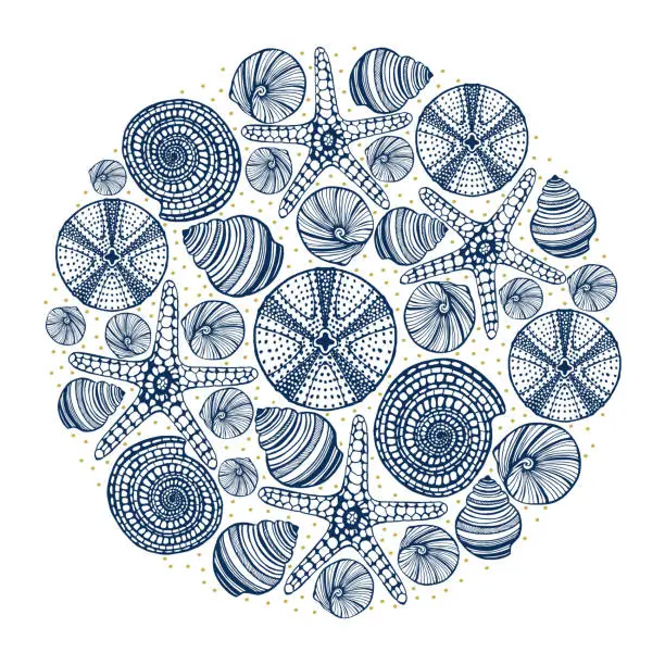 Vector illustration of Hand-Drawn Composition with Urchins Shells and Starfishes