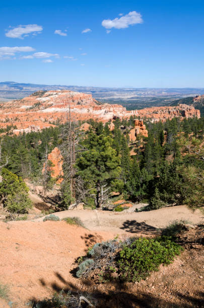 istock landscape on the bryce canyon 993727090