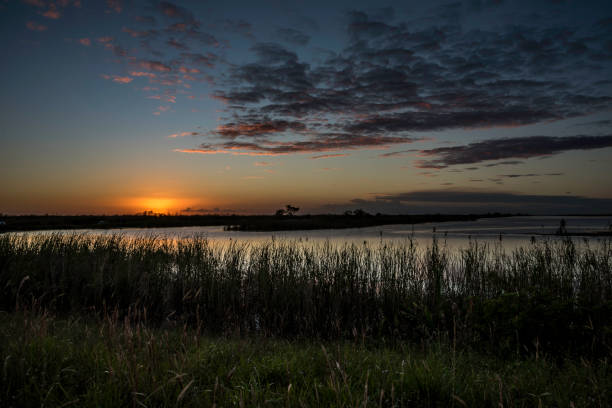 istock Florida Everglades at Sunset with Golden Sky 993736428