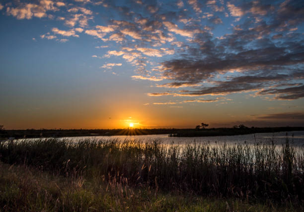 istock Florida Everglades at Sunset with Golden Sky 993736442