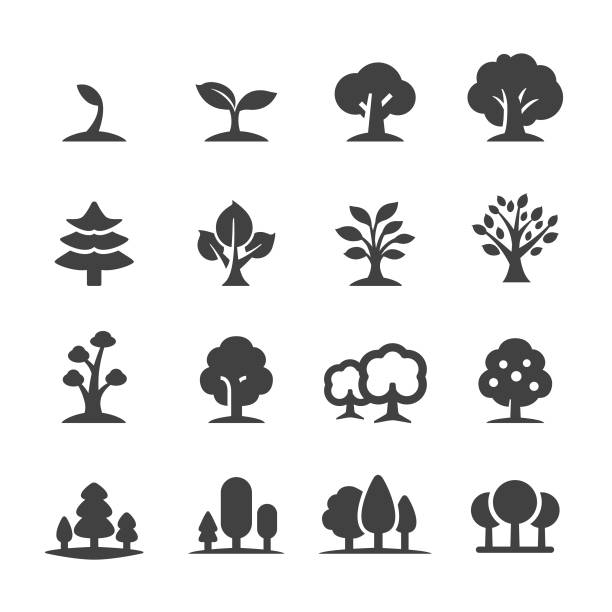 illustrazioni stock, clip art, cartoni animati e icone di tendenza di icone alberi - serie acme - albero