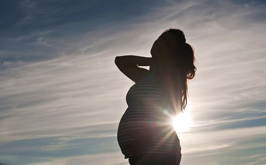 Silhouette Of A Pregnant Woman Posing In A Park