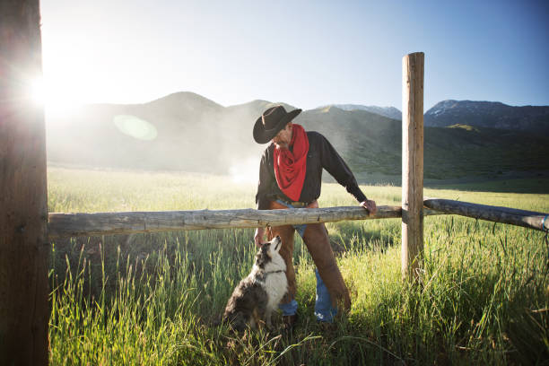 cowboy et sa liaison au lever du soleil de chien - western culture flash photos et images de collection