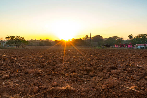 istock Sunrise on Dirt Farm 993751296