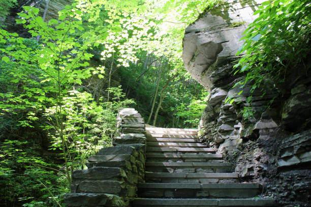 istock Stone stairs at the Watkins Glen State Park 993766950