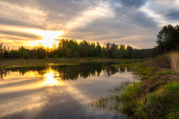 istock Spring catering. A beautiful spring landscape with a swamp, Sunrise. Green forest and cloudy sky with clouds. Natural environmental concept in the open air. 993770330
