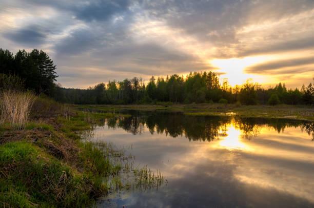 istock Spring catering. A beautiful spring landscape with a swamp, Sunrise. Green forest and cloudy sky with clouds. Natural environmental concept in the open air. 993770338