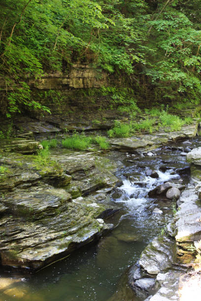 istock Watkins Glen State Park Glen creek 993770378