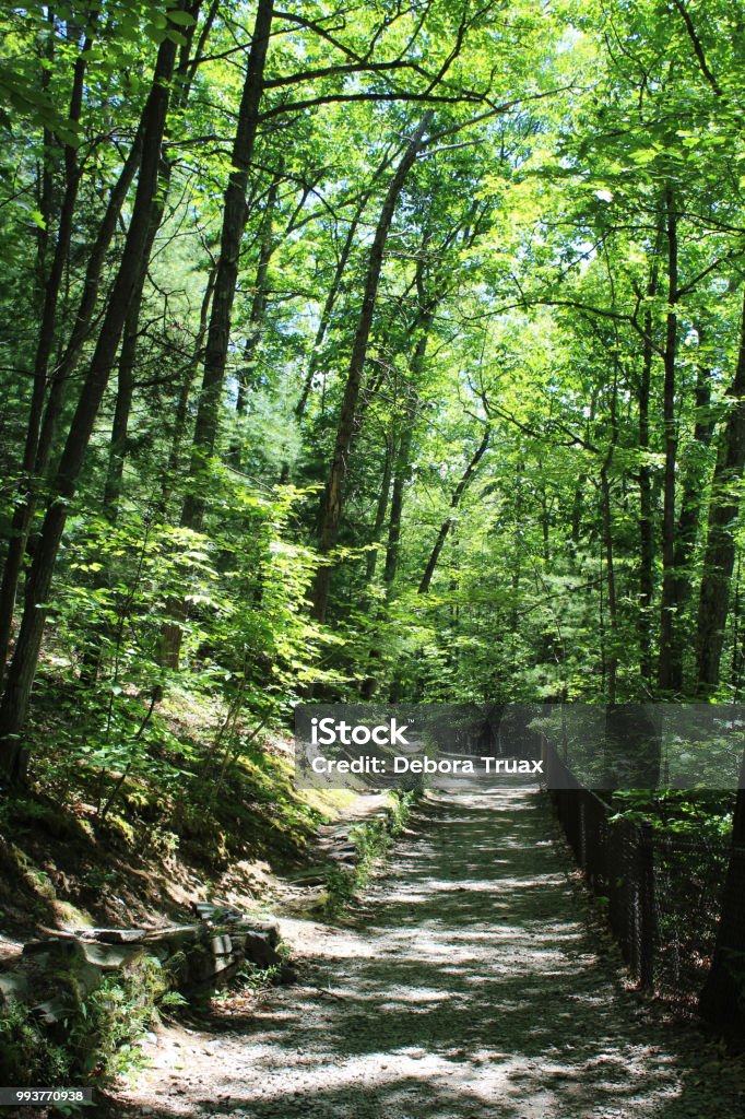 Waitkins Path Watkins Glen State Park Indian Trail Path Stock Photo - Download Image ...