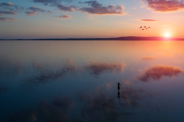 istock Ballerina dancing on the lake at sunset. 993777290