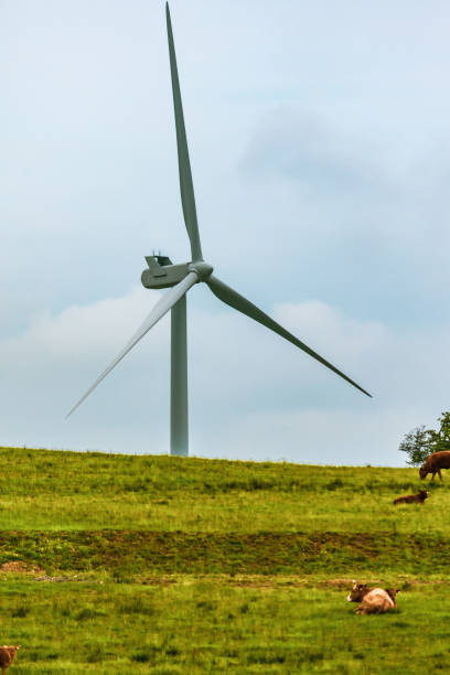 istock Wind turbine in Dartmoor National Park 993782982