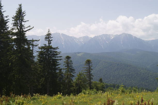 istock View from the Baiului Mountains, Romania 993789206