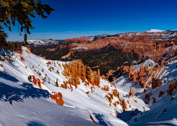 istock Deep Snow of Winter in Cedar Breaks National Monument 993789808