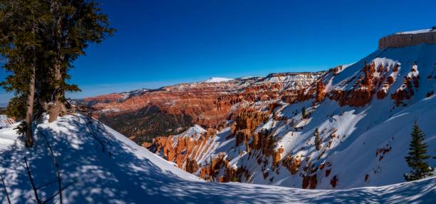istock Snow Covers the Hoodoos of Cedar Breaks 993789818