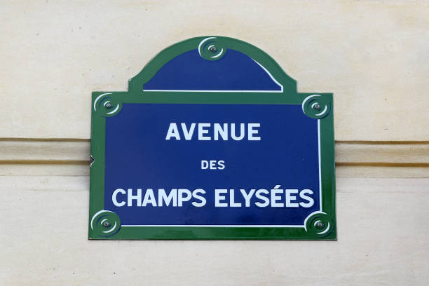 istock Avenue des Champs-Elysees, street plate in Paris 993792498