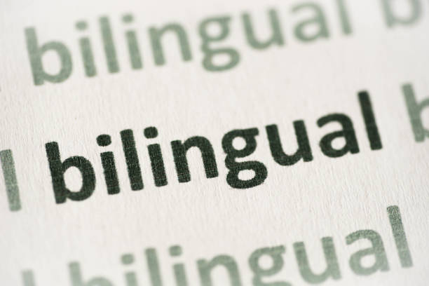 word bilingual printed on paper macro word bilingual  printed on white paper macro bilingual stock pictures, royalty-free photos & images