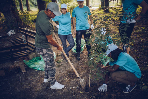 istock Planting tree in the park 993801790