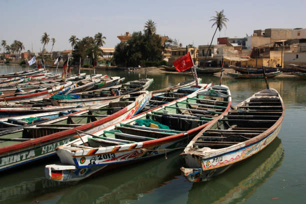 buntere bemalte pirogen vor anker in der fishermans wharf von saint louis du sénégal - senegal flag dirty africa stock-fotos und bilder